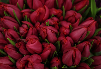 Beautiful bouquet of tulip flowers as background, closeup