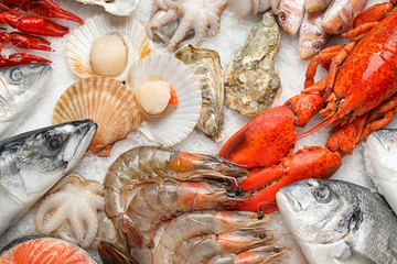 Fresh fish and seafood on ice, flat lay