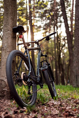 Fototapeta na wymiar mountain bike in the forest