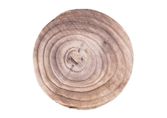 Slice of wood isolated