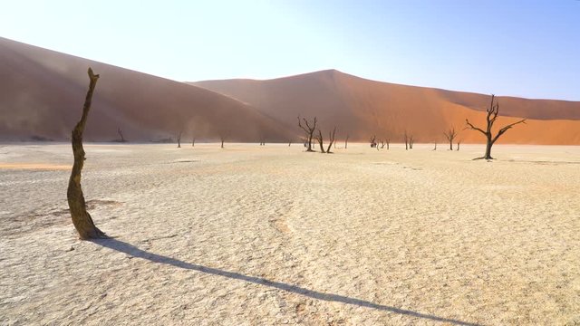 Dead acacia trees at Deadvlei in the Namib desert in Namibia in Africa.