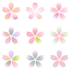 桜　春　花　アイコン