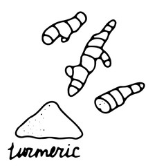Hand drawn isolated indian food icon. Black outline illustration of indian spice. Fresh turmeric root icon