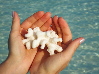 Exotic white corals in the hands of the turquoise islands of the Maldives