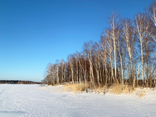 Federal nature monument-lake Uvildy in winter on a Sunny day, southern Urals, Chelyabinsk region. Forest on the shore of the island of Elm (Vyazovy)