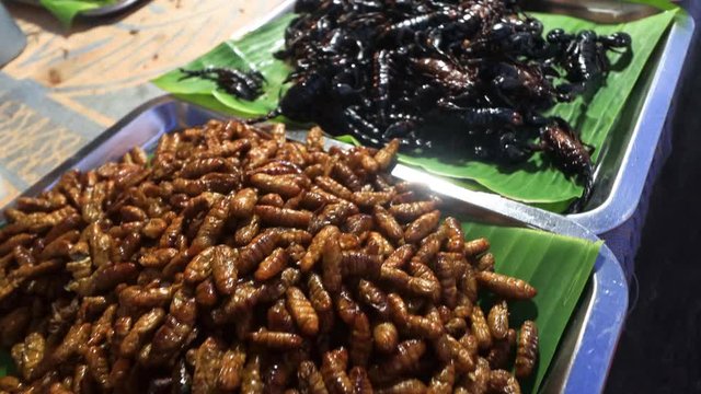 Scorpions, insects, bugs, grubs, and worms sold as food at night street market in Asia	