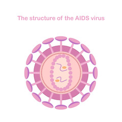 The structure of the AIDS virus. Medical infographics.