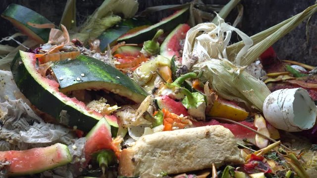 Household food waste. Fruit and vegetables losses. Reusing leftover food to  feed animals, and to produce energy and compost
