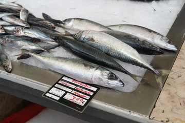 Freshly caught fish at the fish market