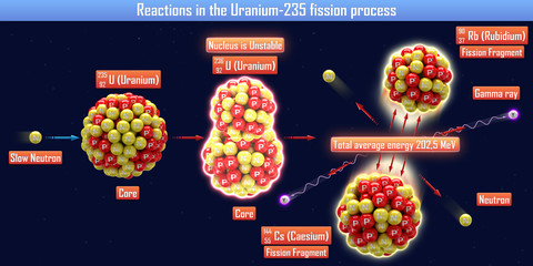 Reactions in the Uranium-235 fission process (3d illustration) © generalfmv