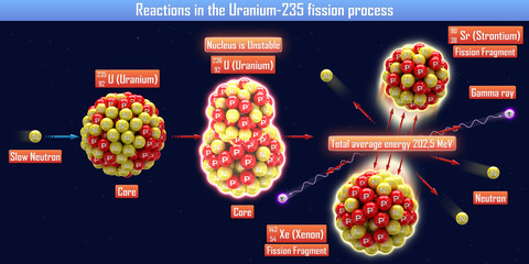 Reactions in the Uranium-235 fission process (3d illustration)