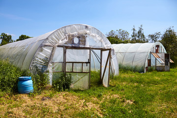 Old plastic greenhouses on an organic vegetable farm.