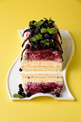 Semifreddo with black currant and savoiardi on a yellow background