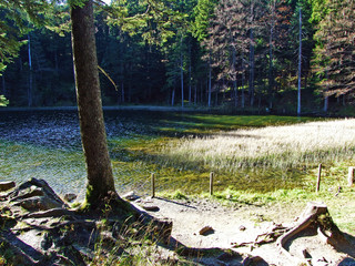 Forest lake Forstseeli or alpine pond Forstseeli in the Alpstein mountain range and above the Rhine...