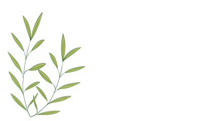 植物のイラスト：見出し飾り：葉っぱ、葉脈、実なし