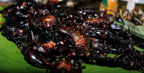 Scorpions, insects, bugs, grubs, and worms sold as food at night street market in Asia