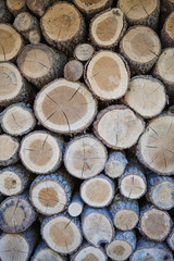 The texture of the wood, cuts of wood with patches of light. The woodpile, cut wood