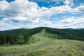 Fototapeta na wymiar Summer landscape in the Carpathians. Ukraine
