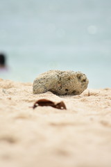 Fototapeta na wymiar A Rock On White Sand Beach