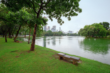 A park with a lake Located in the middle of the city