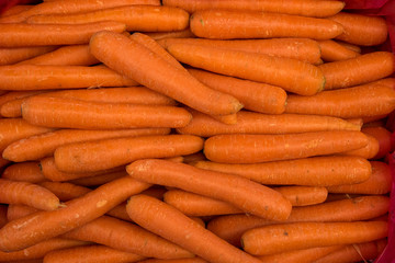 bunch of fresh carrots in the market