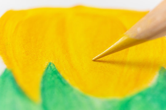 A yellow pencil draws a tulip on white paper. The concept of drawing, art therapy, teaching children to draw. Macro photo.