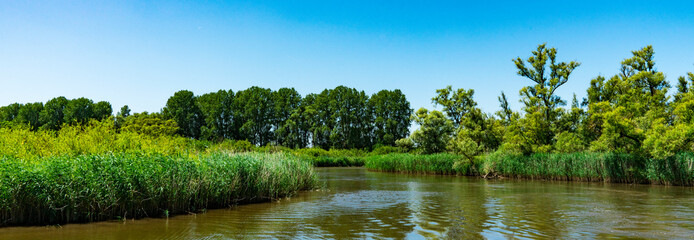 river Amer. National park Hollandse Biesbosch. Drimmelen. The Netherlands