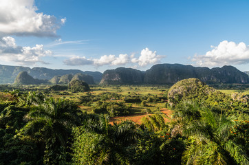 Fototapeta na wymiar Beautiful view of mogotes in Vinales Valley, Cuba - known for tobacco plantations