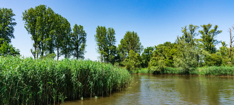 river Amer. National park Hollandse Biesbosch. Drimmelen. The Netherlands