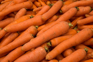 bunch of fresh carrots on stand 
