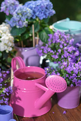 Gardening - Set Of Tools For Gardener And Flowerpots In Sunny Garden