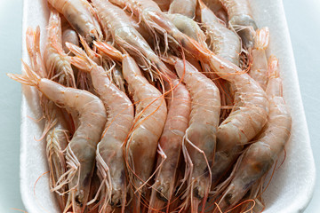 Gamba blanca fresca.