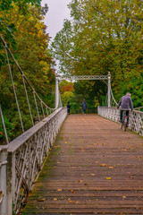 autumn in the park