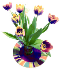 tulips on white backround