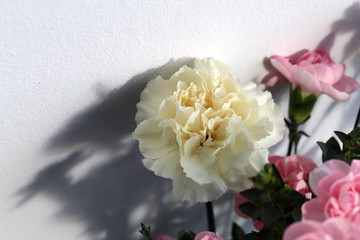 Super cute, light color flower bouquets including baby pink and white dianthus flowers with white chrysanthemum flowers, and some other white flowers. Photographed with a white wall on the background.