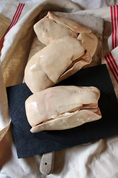 Foie gras de canard entier, foire au gras