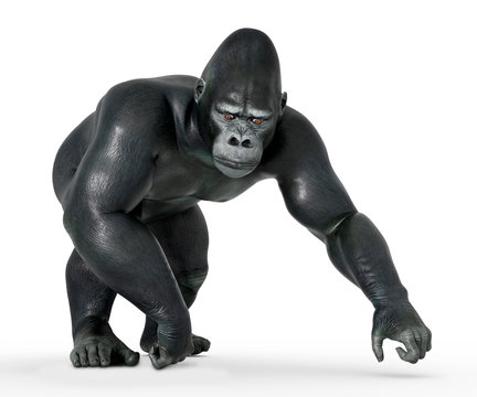 Gehender Gorilla