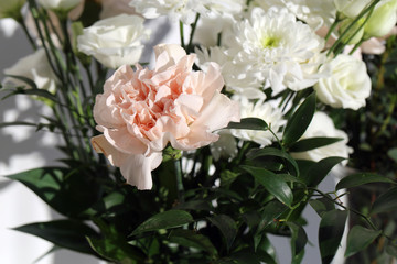 Super cute, light color flower bouquets including baby pink and white dianthus flowers with white chrysanthemum flowers, and some other white flowers. Photographed with a white wall on the background.