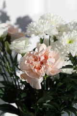 Super cute, light color flower bouquets including baby pink and white dianthus flowers with white chrysanthemum flowers, and some other white flowers. Photographed with a white wall on the background.