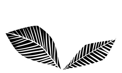 植物のイラスト：葉っぱ、葉脈、原始的なイメージ