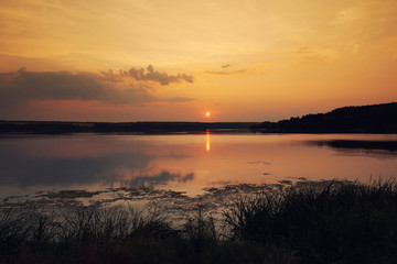 Romantic fairytale sunset on the shore of a lake. Coast line plants silhouette, idyllic relaxation panorama pond, rays of the sunlight summer time nature landscape. Vacation holidays tourism wallpaper