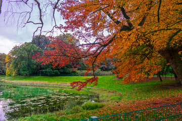 autumn in the park