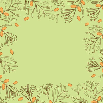 Background with branches of argania for posters, covers and labels for cosmetics. Vector.