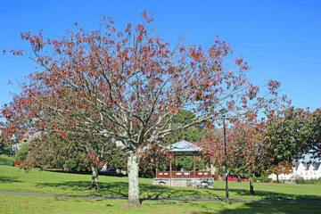 Bandstand in a park in Autumn	