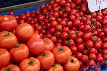 fresh tomatoes on the stand