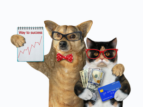 The cat holds a credit card and a fan of dollars. The dog holds a notebook with a financial chart. They stand hugging. White background. Isolated.