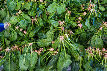 fresh spinach in the market 
