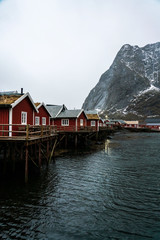 Fototapeta premium Red rorbu house in Reine, Lofoten islands.