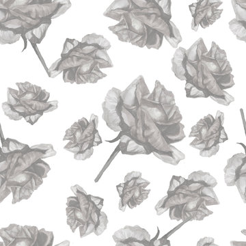  Patern seamless print textile roses flowers blooming watercolor hand-drawn garden gardening separately on a white background separately in gray colors © Paint_art