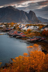 Autumn in Lofoten wiht pretty colours and great light. Norway landscapes with mountains.